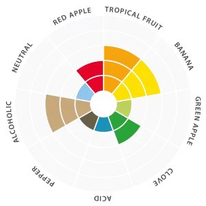 Flavor-wheel-EN-Abbaye-4