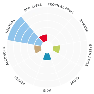 Flavor-wheel-EN-Nottingham-5