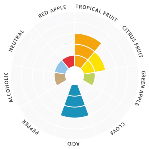 Flavor-wheel-EN-Philly-Sour-5
