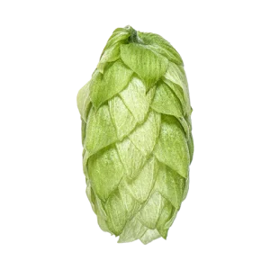 Kohatu_e36fa4a5-7cf7-471a-b896-3bd0464ea5b5_large