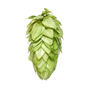 Motueka_0df13043-557a-4e9c-8ef6-45c3d9d26edb_large